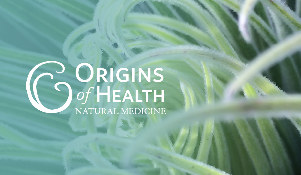 services-origins-of-health-natural-medicine