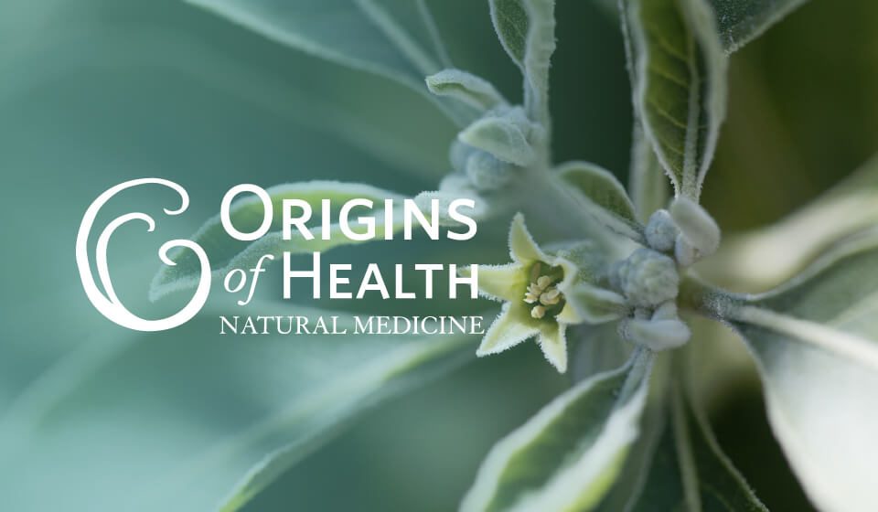 patient-information-origins-of-health-natural-medicine